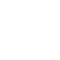 Brain